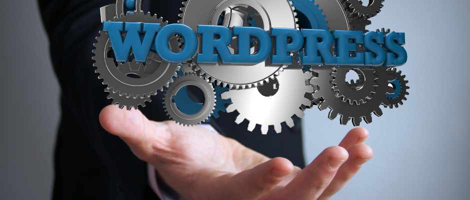 The Benefits of Working With a WordPress Developer